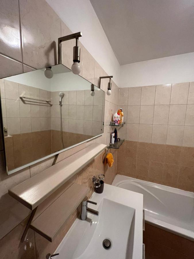 Apartman West - Private Parking Place ザグレブ エクステリア 写真